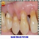 닥터손치과보철과의원 이미지