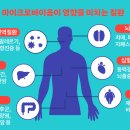 바이옴 이미지