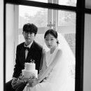 아르코발레노대전 이미지