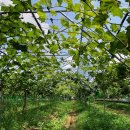 한신농장 이미지