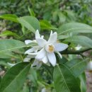 12월의섬마을 이미지