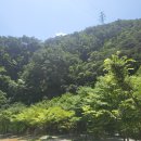 J오토존 이미지