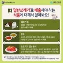 귤껍질 일반쓰레기에 버리지마라... 과태료 10만원 먹었다 이미지