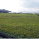 국도 세탁소 이미지