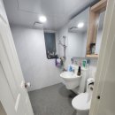 신방한라동백@ 2 이미지