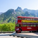 켄싱턴 호텔 평창 글램핑 빌리지 이미지