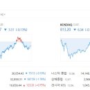 와이홀딩스