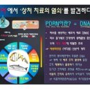 발해메딕스 네이버블로그