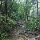 산음에너지 | 산음자연휴양림 숲속의집 1박2일 여름 나기 후기