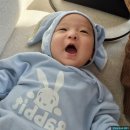 안중-112V | [평택 안중] 평택 카페 안중 노들카페 카페 추천