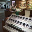 호텔파티시에 야간 | こんな冬に？