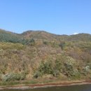 맛거리네 식당 이미지