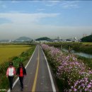 홍도야 우지마라 이미지