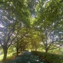 양산호수공원 이미지