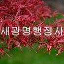 새광명행정사 이미지