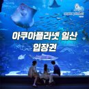 아쿠아수족관 이미지