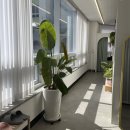 퀸미미 | [파주야당속눈썹] *운정/야당 속눈썹펌 전문 추천 ‘퀸미미 야당점’ 내돈내산 후기