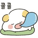 한빛 태권도 이미지