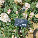 곡성-211 이미지