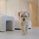 금배네 민박 이미지