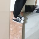 스타일에스 이미지