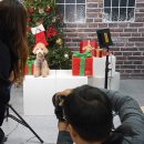 너와펫(PET) 이미지