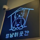 멍냥이 곳간 이미지