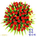 지이 이미지