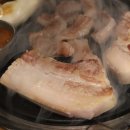 야돼지다 이미지