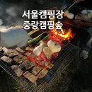 공공용 87 | [중량 캠핑숲] 중랑 가족 캠핑장 예약 아쉬운점 좋은 점 내돈내산 솔직후기