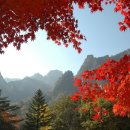 동답초교 이미지