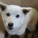 아산밸리서로 이미지