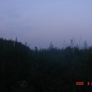 불재농장 | 2005.08.27. 낙동정맥11차(아화고개-메아리농장) 산행