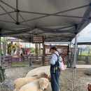 태형목장 이미지