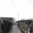 삼양해수욕장 이미지