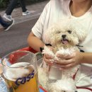 거북카센타 이미지