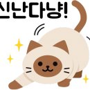 (주)인스코리아 이미지