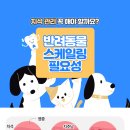해온동물병원 이미지