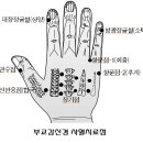 자율신경 건강법-1 -- (PDF 파일) 이미지