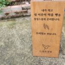 느림보상점