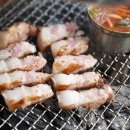 그도야지 이미지