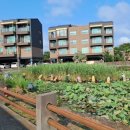 오조리마을회 이미지