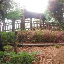 도구머리공원 이미지