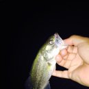 광신대교 이미지