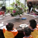 유기농장 이미지