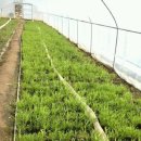 광동농장 이미지