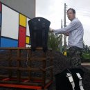 에벤에셀농장(2) 이미지