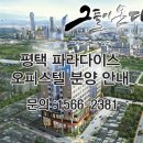 평택 파라디아 이미지