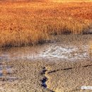 소래로(풍림아파트 앞) 이미지