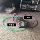 흑서